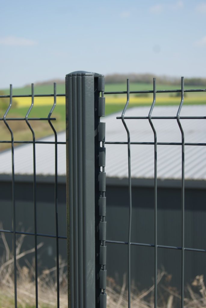 161267766-491535372217802-5780514195715220986-n