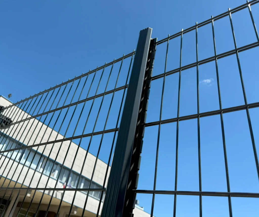 img 3149 scaled e1754034161204