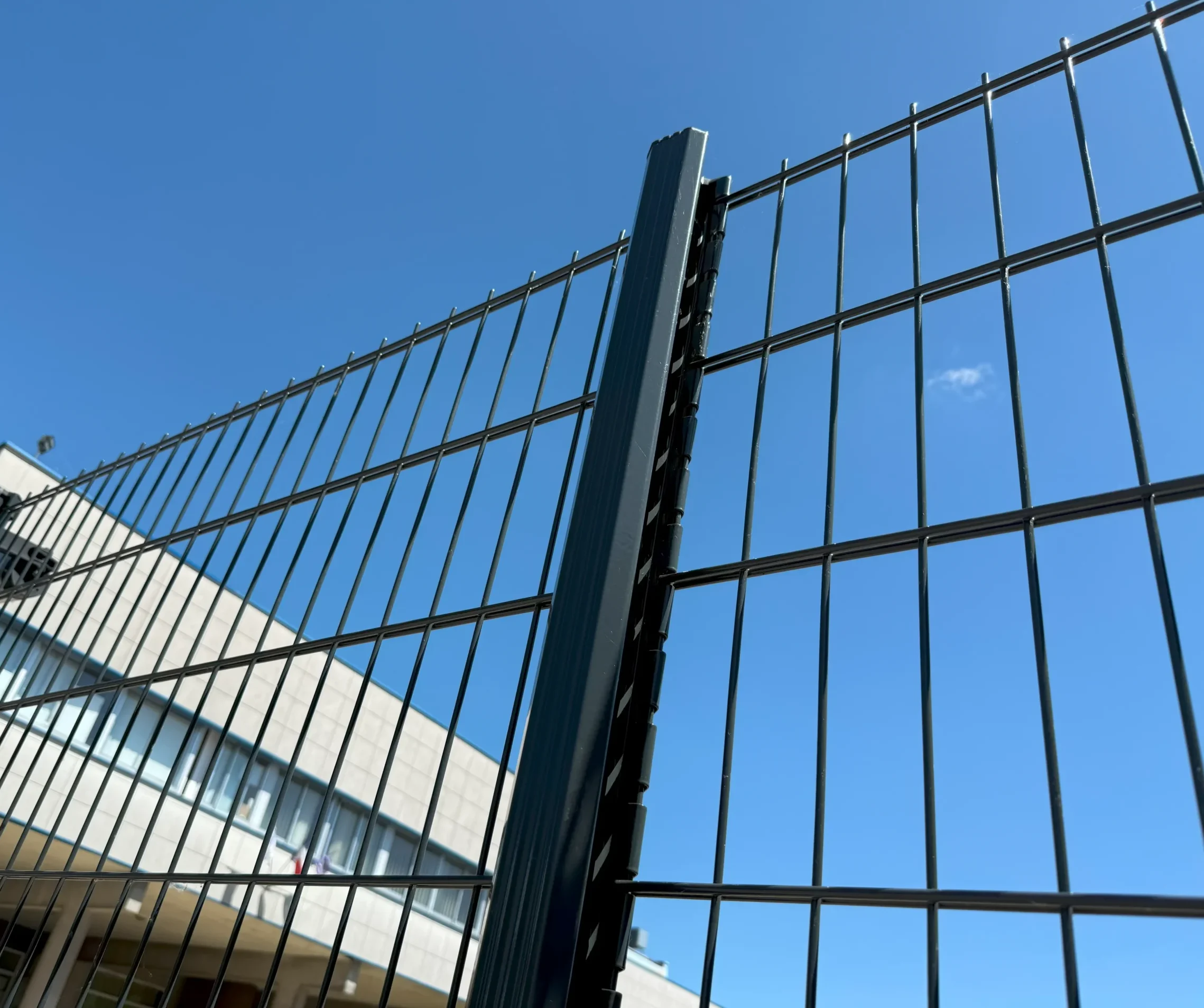 img 3149 scaled e1754034161204